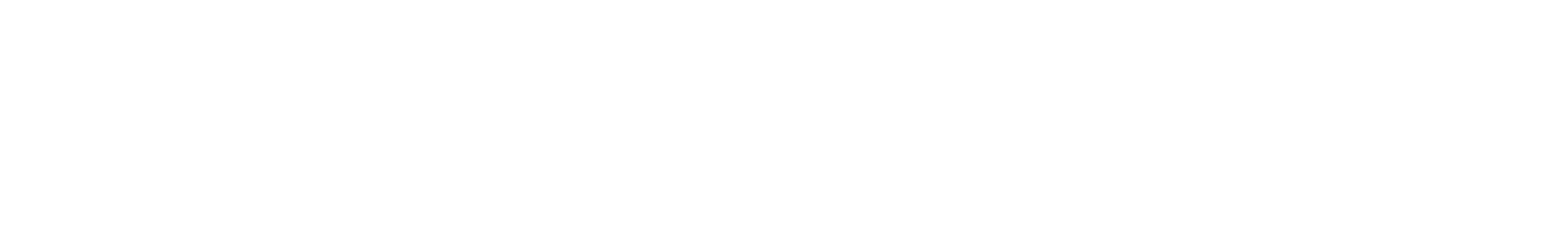 FITSEVENELEVEN CORPORATE